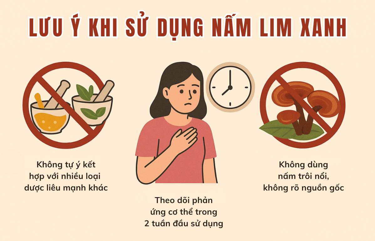 nấm lim xanh tác dụng gì